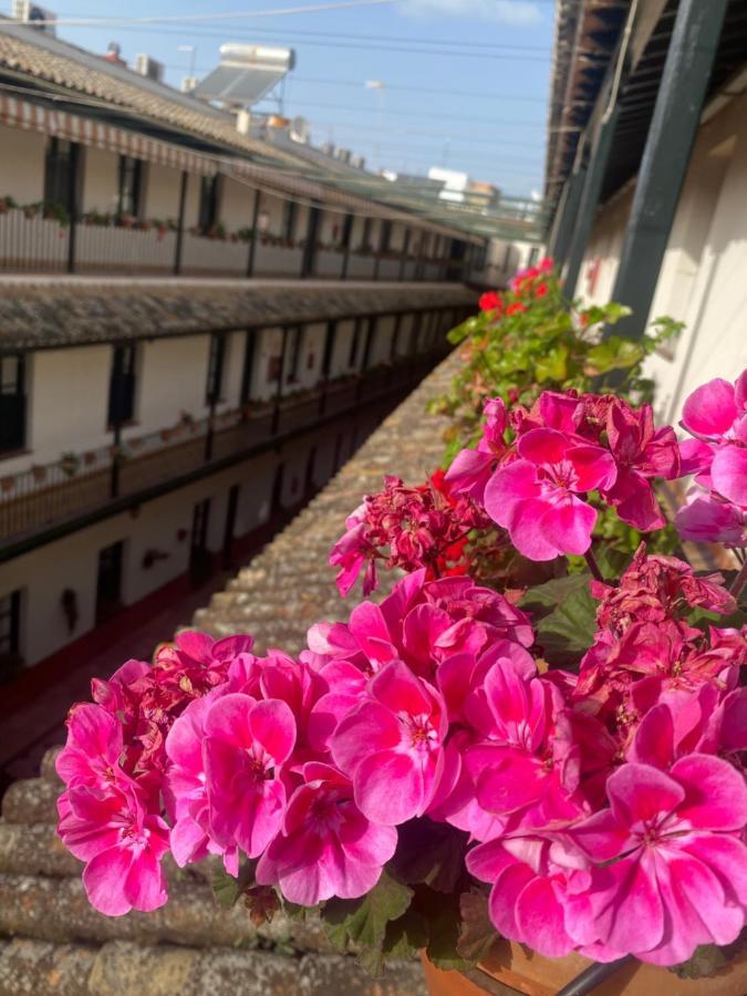 Apartament Alameda Center Sevilla Exterior foto